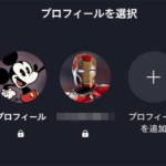 Disney - プロフィール見て下さい専用 Disney+（ディズニープラス）のプロフィールPIN（暗証番号）を